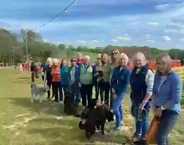 ST LEONARD'S WALKING GROUP